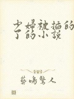 少妇被插的高潮了的小说