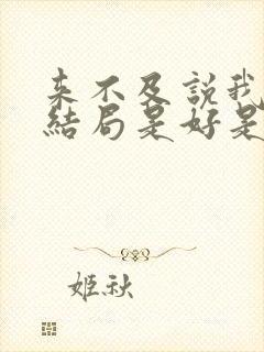 来不及说我爱你结局是好是坏封面