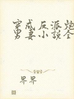 穿成反派炮灰的男妻小说全文阅读