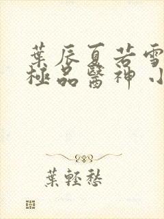 叶辰夏若雪都市极品医神 小说