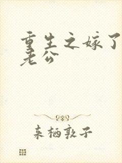 重生之嫁了个假老公封面