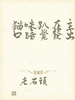 猫咪趴在主人胸口睡觉发出咕噜咕噜