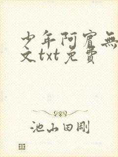 少年阿宾无删全文txt免费