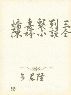 娇妻系列三部曲陈婷小说全文免费阅读