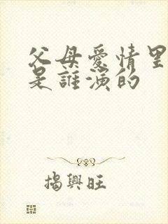 父母爱情里安欣是谁演的