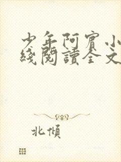 少年阿宾小说在线阅读全文