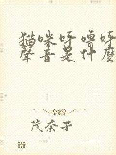 猫咪呼噜呼噜的声音是什么意思