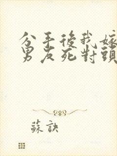 分手后我嫁给前男友死对头宋颜全本阅读