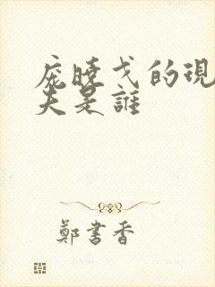 庞晓戈的现任丈夫是谁