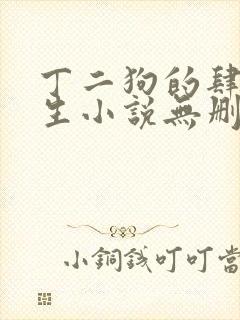 丁二狗的肆意人生小说无删减下载