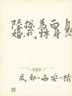 陆总为白月光悔婚,我转身闪婚了结局封面