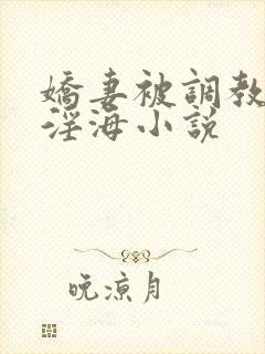 娇妻被调教堕落淫海小说