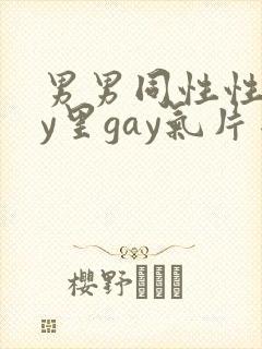 男男同性性gay里gay气片网站封面