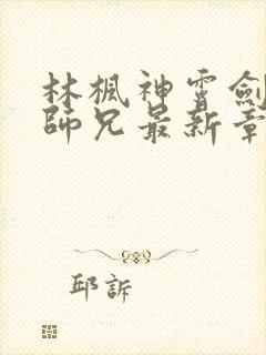 林枫神霄剑宗大师兄最新章节列表