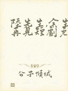 陆先生,余生不再见短剧免费观看