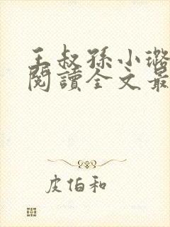 王叔孙小璐免费阅读全文最新章节封面