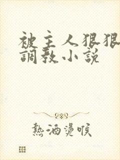 被主人狠狠惩罚调教小说