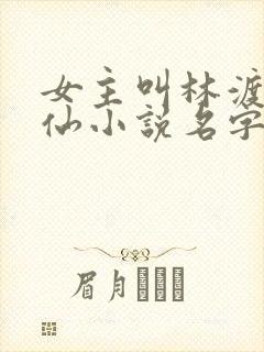 女主叫林渡的修仙小说名字