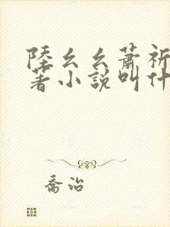 陆幺幺萧祈之原著小说叫什么