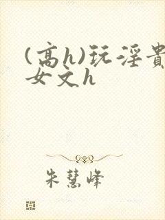 (高h)玩淫贵女文h封面