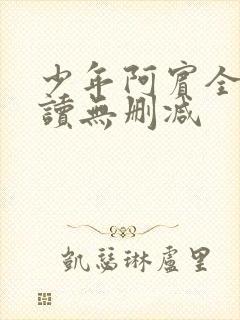 少年阿宾全文阅读无删减封面