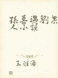 孙嘉遇刘果宁同人小说