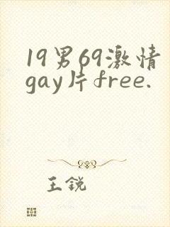 19男69激情gay片free.封面