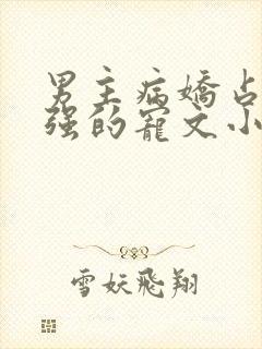 男主病娇占有欲强的宠文小说推荐