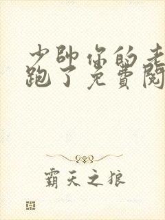 少帅你的老婆又跑了免费阅读