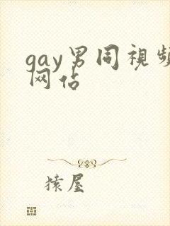 gay男同视频网站封面