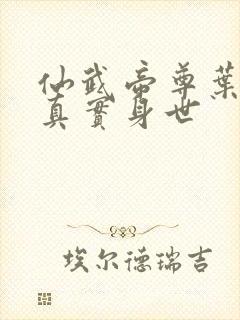 仙武帝尊叶辰的真实身世