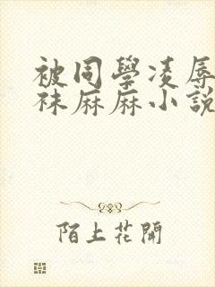 被同学凌辱的丝袜麻麻小说