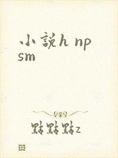 小说h np sm