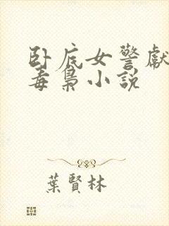 卧底女警献身大毒枭小说