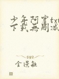 少年阿宾txt下载无删减