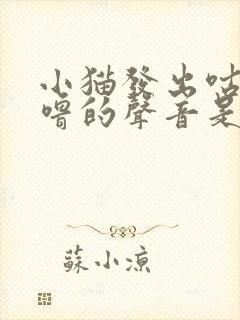 小猫发出咕噜咕噜的声音是怎么回事