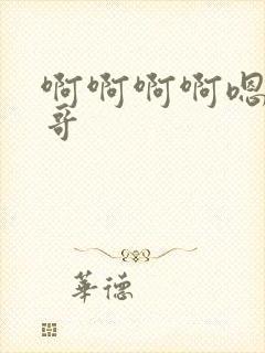 啊啊啊啊嗯嗯哥哥封面