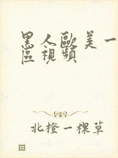 黑人欧美一区二区视频