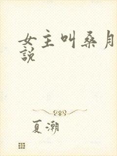 女主叫桑月的小说封面
