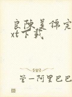 良陈美锦完本txt下载