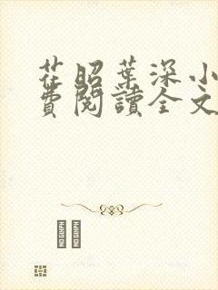 花昭叶深小说免费阅读全文封面