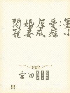 闪婚厚爱:墨少宠妻成瘾 小说