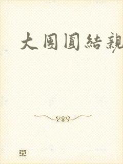 大团圆结亲情会