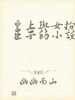 皇上与女扮男装臣子的小说