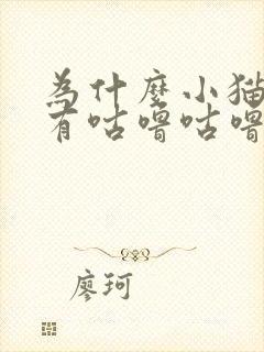 为什么小猫睡觉有咕噜咕噜的声音