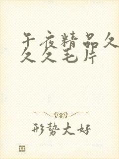 午夜精品久久久久久毛片