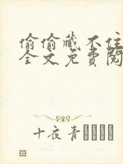 偷偷藏不住小说全文免费阅读正版