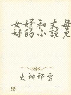 女婿和丈母娘相好的小说免费阅读