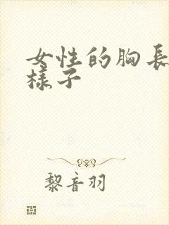 女性的胸长什么样子