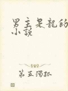 男主是龙的玄幻小说